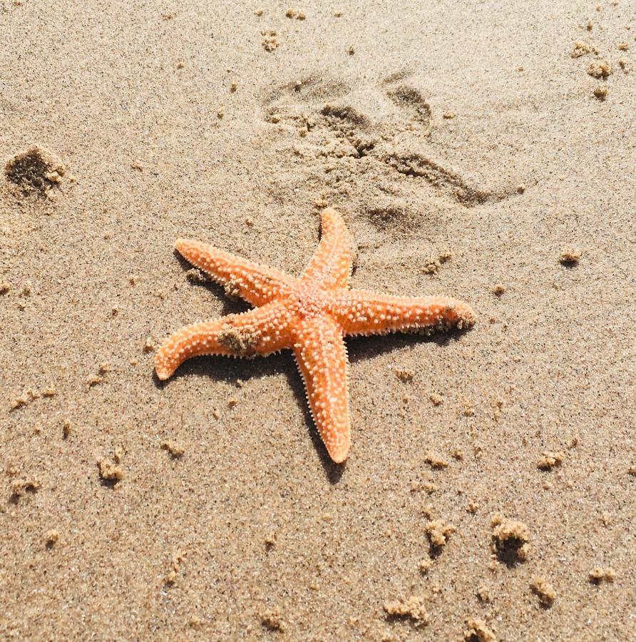 Sandy Feet Retreat Exmouth Dış mekan fotoğraf